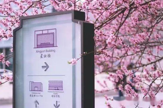 『专业』南京大学：独创“三三制”人才培养一人一课表