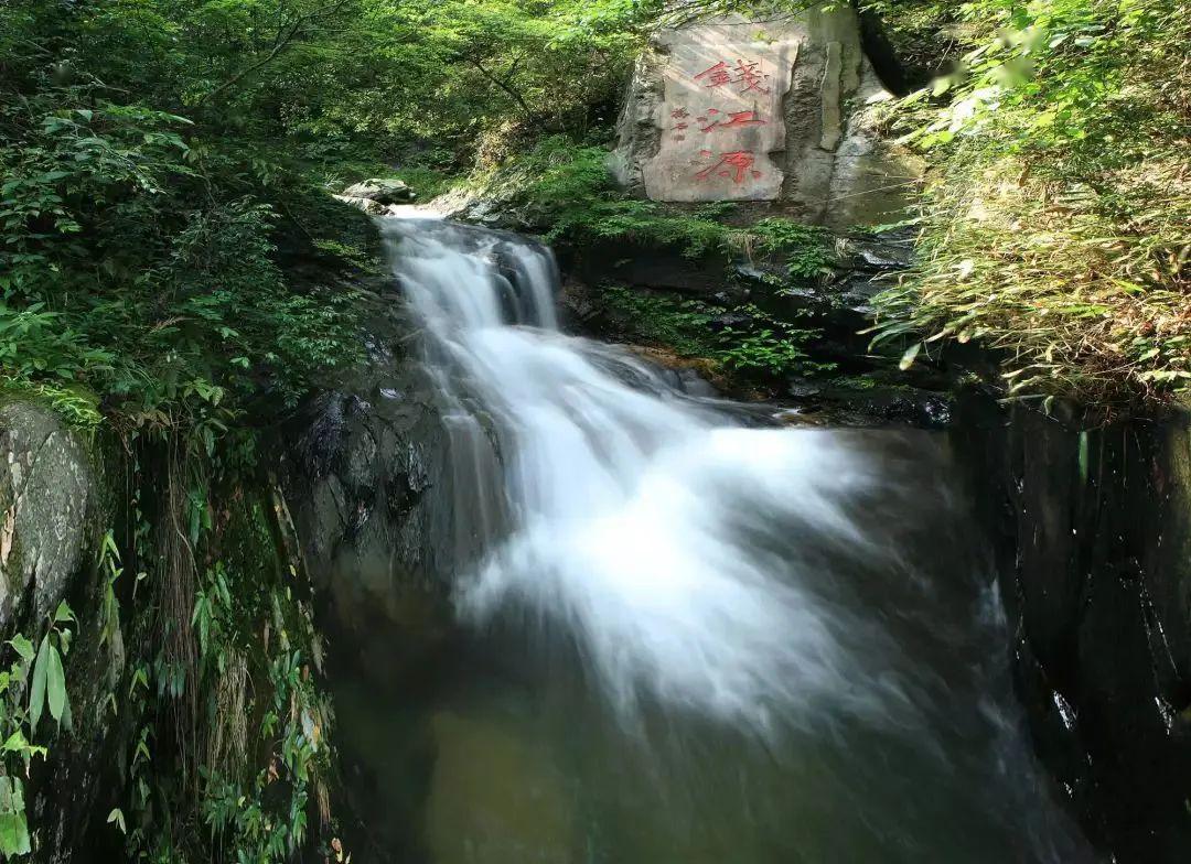浙江"十大名山公园"你去过哪几处?来过也请再来,浙里将更美