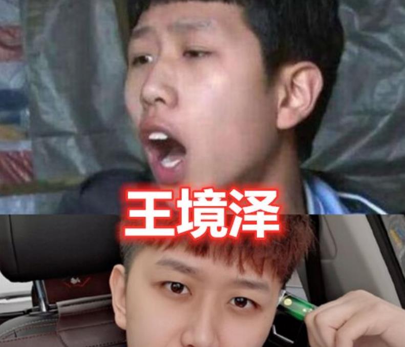 "变形计"成员现状:王境泽变帅,韩安冉当妈,看到最后:换头了?