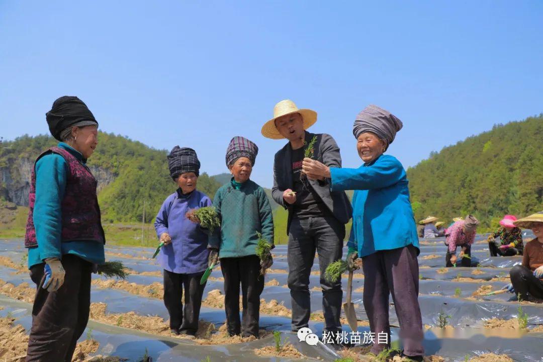 (来源:松桃苗族自治县人民政府门户网站) 一声"龙老板",更是一种信任