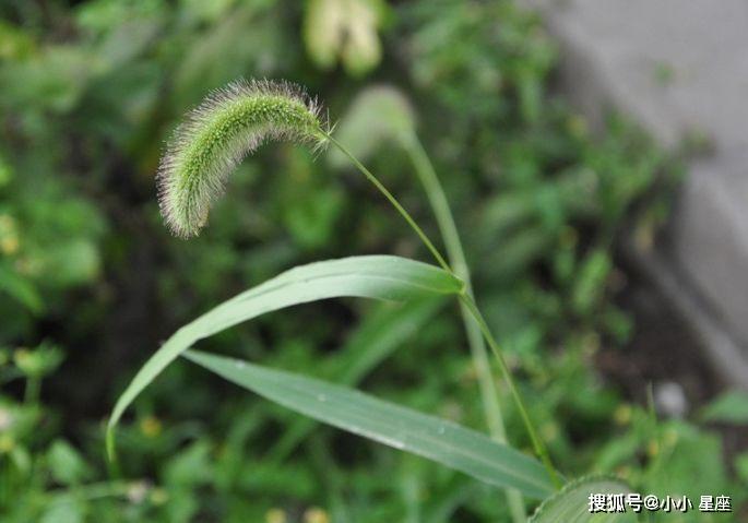 5f9ede29c55c4ac3b85d69f85a1caa3a.jpeg