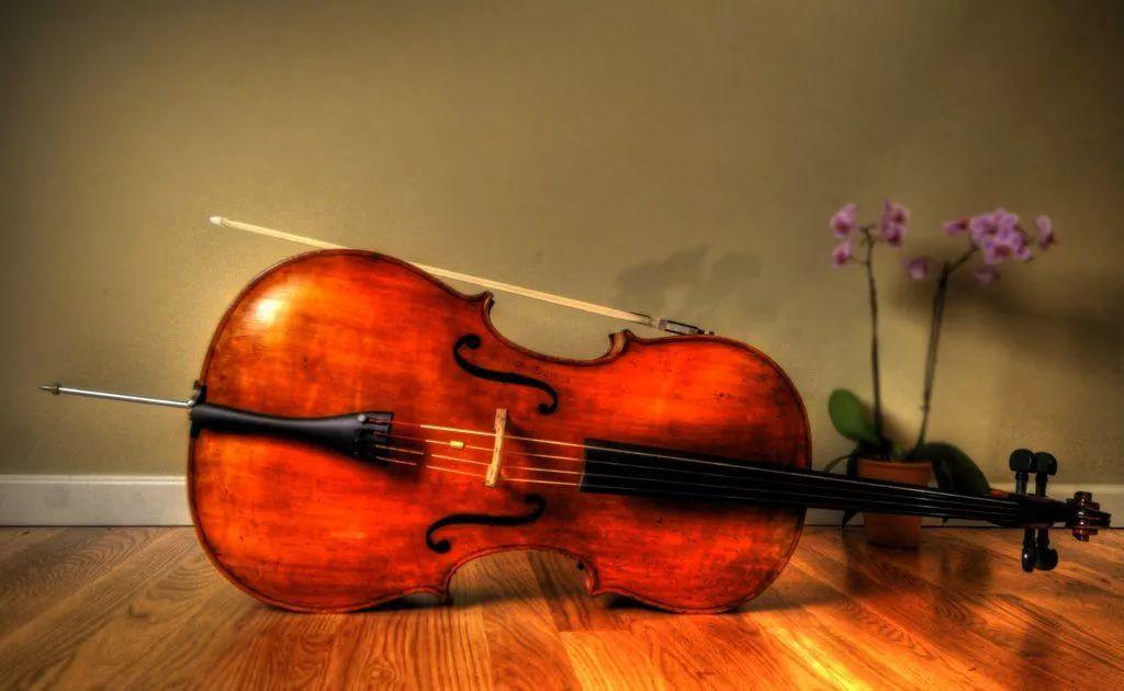 好文分享心弦上绽放的艺术之花赏析十首大提琴的传世佳作