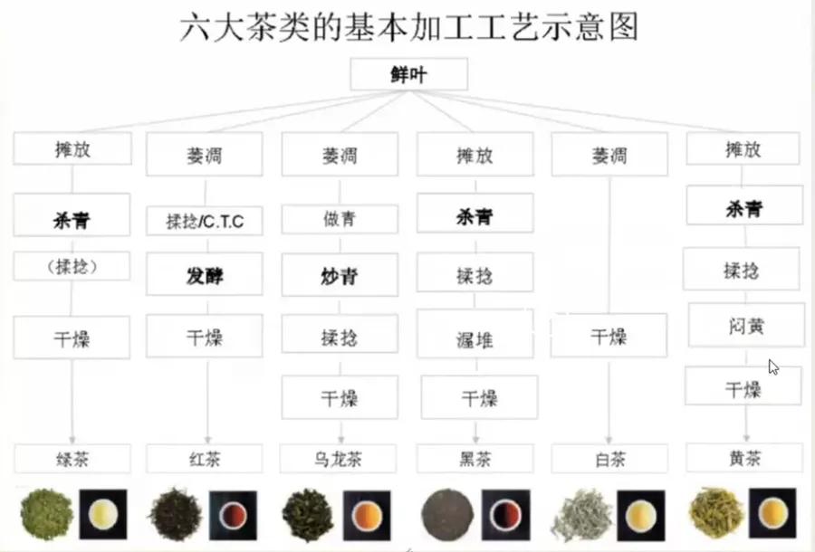 【干货】周智修:国家级技能大师教您简单泡好一杯茶!