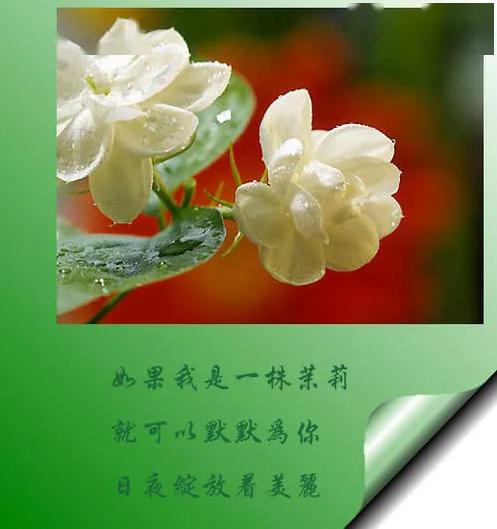 6c56bb52a14e4cb89e17e74da21a4c69.jpeg