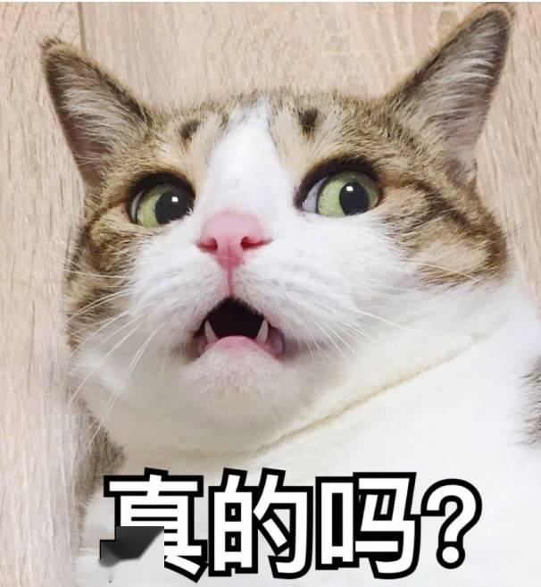 73b4445543ae47a6bf9298d471284402.jpeg
