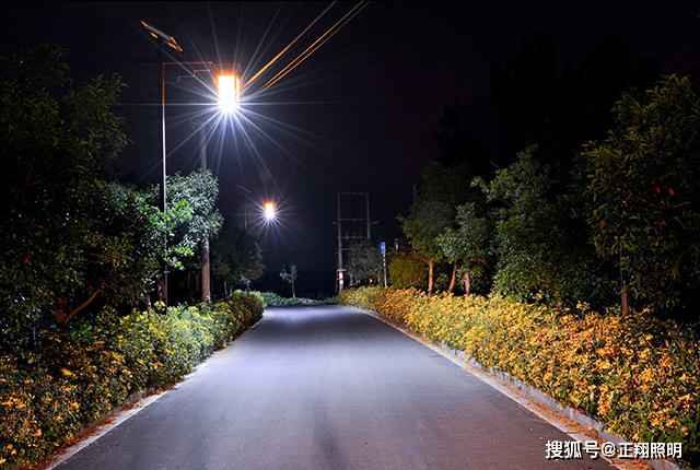 太阳能路灯装饰农村道路亮化