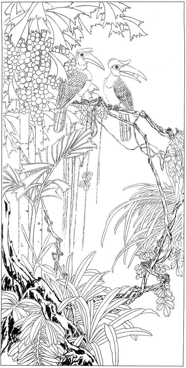 春暖花开,48张精品花鸟工笔白描拿去画