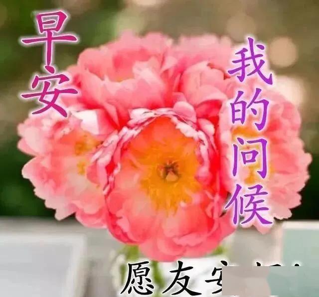 4月22日星期三,唯美又温馨的早安祝福语图片 早上问候