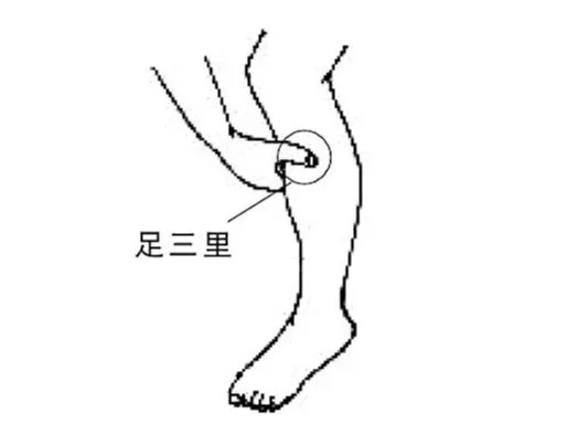 85939ff3728a47a698c5ff66eba307d2.jpeg