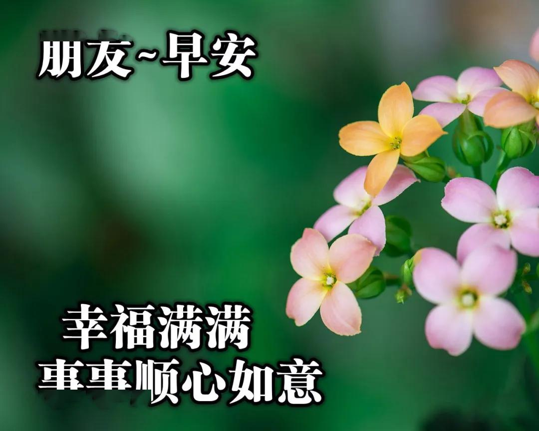 8b3fb8d2b2fb41ea874bb5f871e63561.jpeg