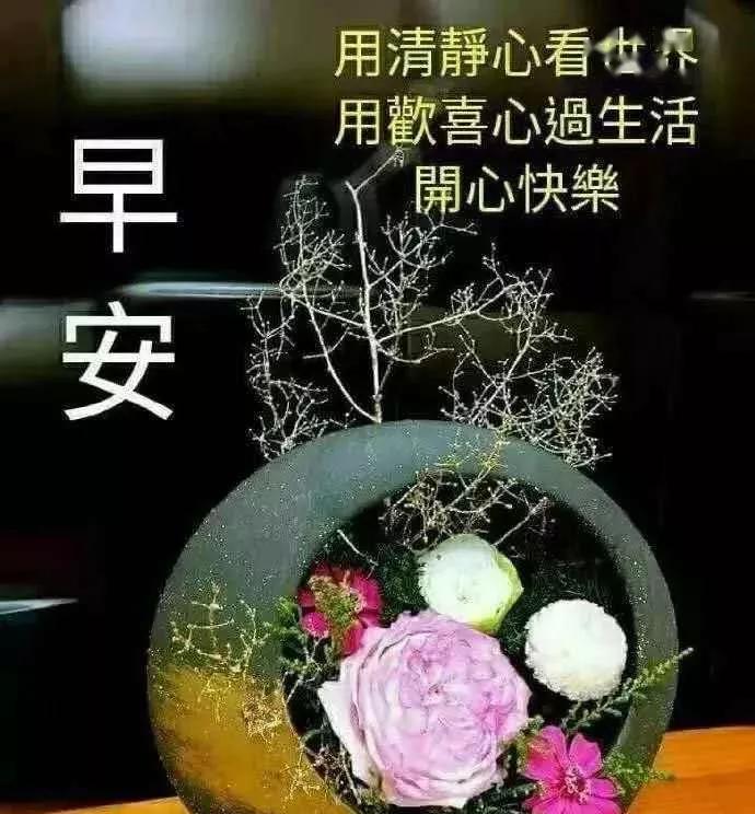 8d77048b2cbd4e1c82c3ffdf437f01e2.jpeg