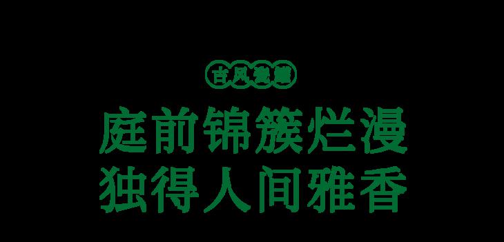 944900eab3cf4bdf8531d195d7fb162c.jpeg