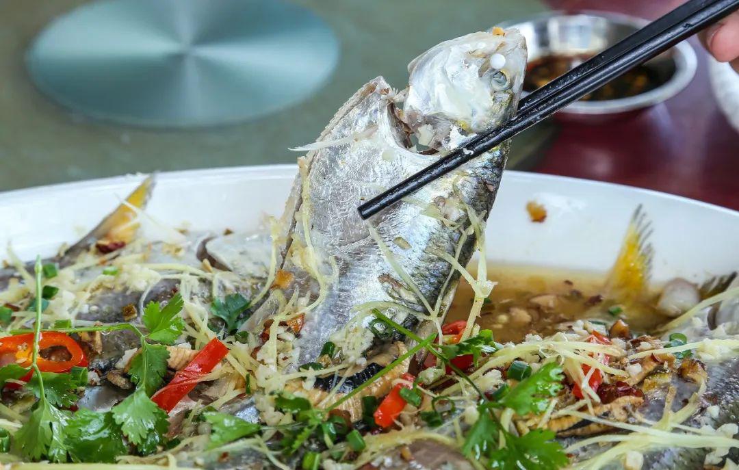 来到红卫村码头【搭渡】去木棉饭店#带你解锁河鲜新吃法!_西江