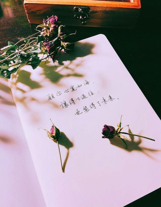 9d36528a3d5a429db6379d03a92c7013.jpeg
