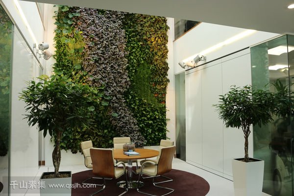 室内绿化墙植物墙这是大自然的馈赠
