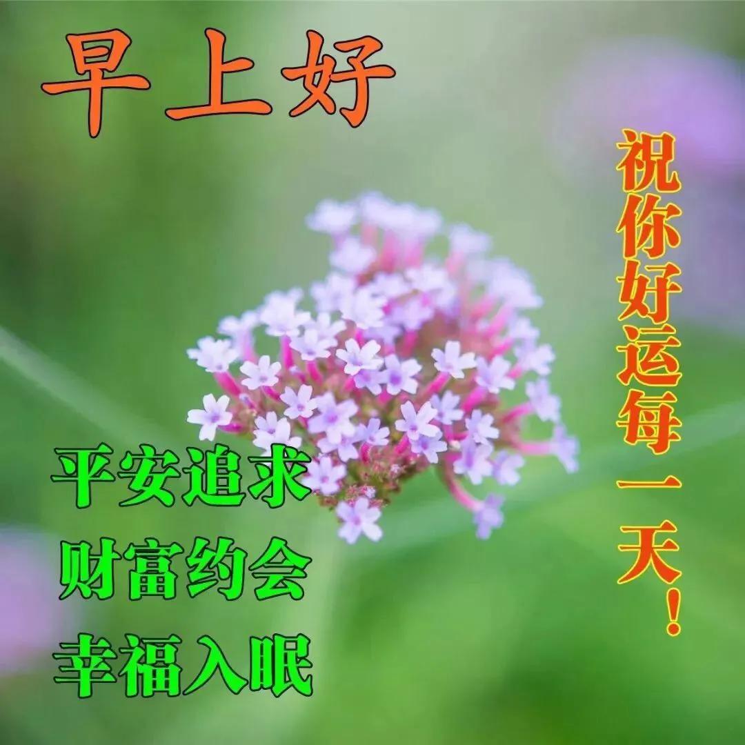 三月三十今日清新的早上好图片祝福语大全