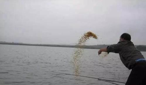 adffae27732442dead038945e588d610.jpeg