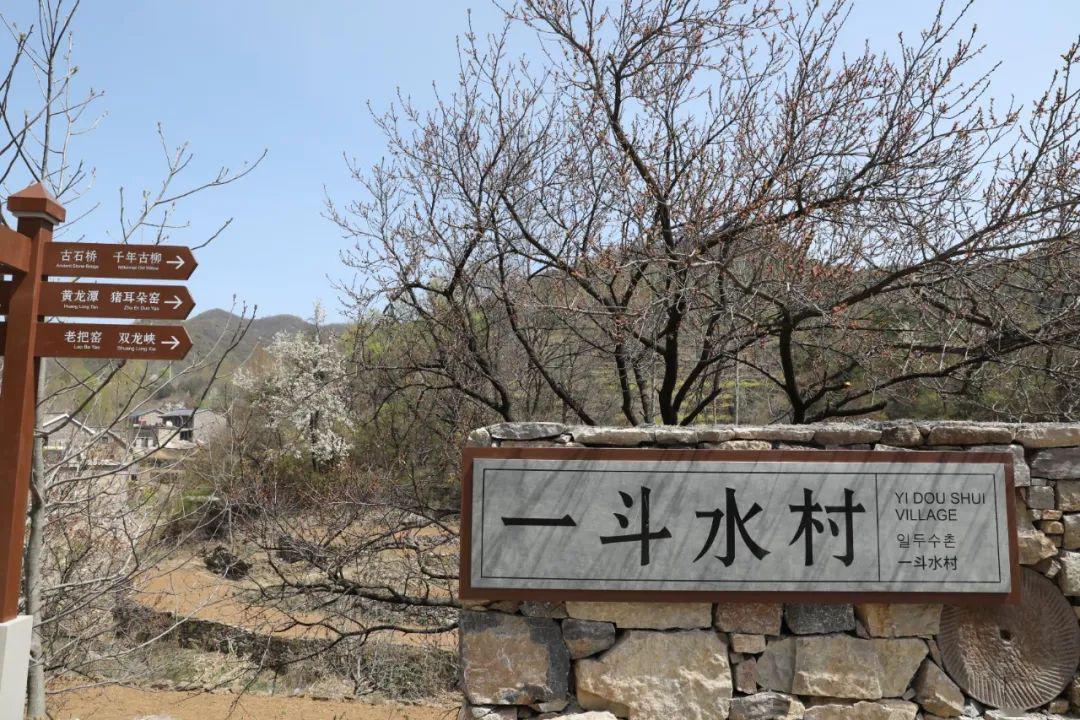 小标识牌大作用修武一斗水村成我市乡村旅游标识系统示范村