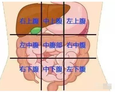 b946a6e3941341bfb678f1622b3086a7.jpeg