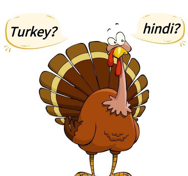 16世纪50年代,"turkey"第一次被用来指代火鸡,因为当时的欧洲人以为