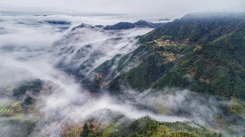 亲子宝藏小城计划第2站：遂昌-江南山城原生态人文风光[五一荐]