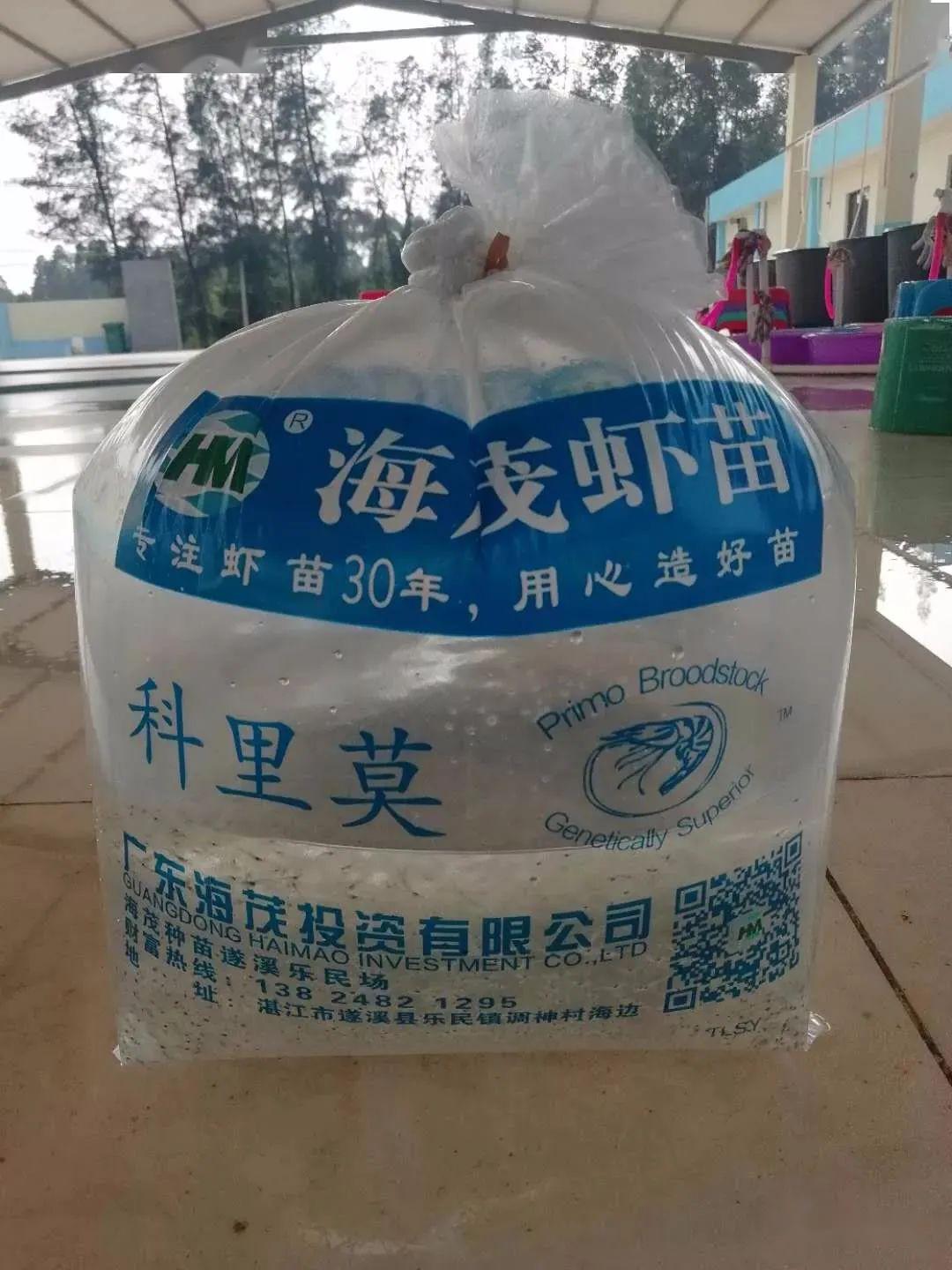39口塘100成功冬棚虾豪赚380多万被虾中围攻竞价抢虾的原来是他
