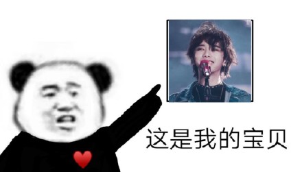 熊猫头这是我的宝贝表情包