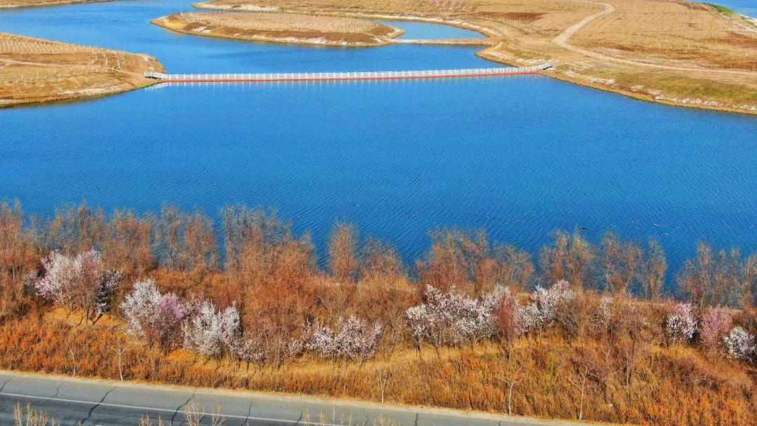 近年来,银川市坚持"  生态立市"