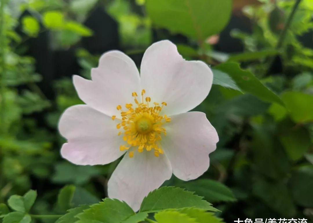 d764dc6cd6ff4395b9bcd236e0a8c9e4.jpeg