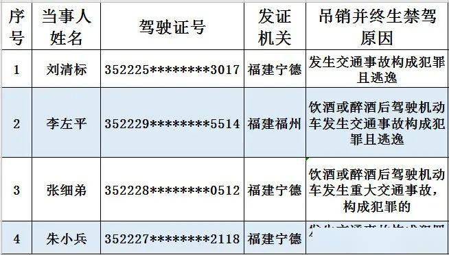 2020年第一季度宁德G_2020年宁德新时代视频