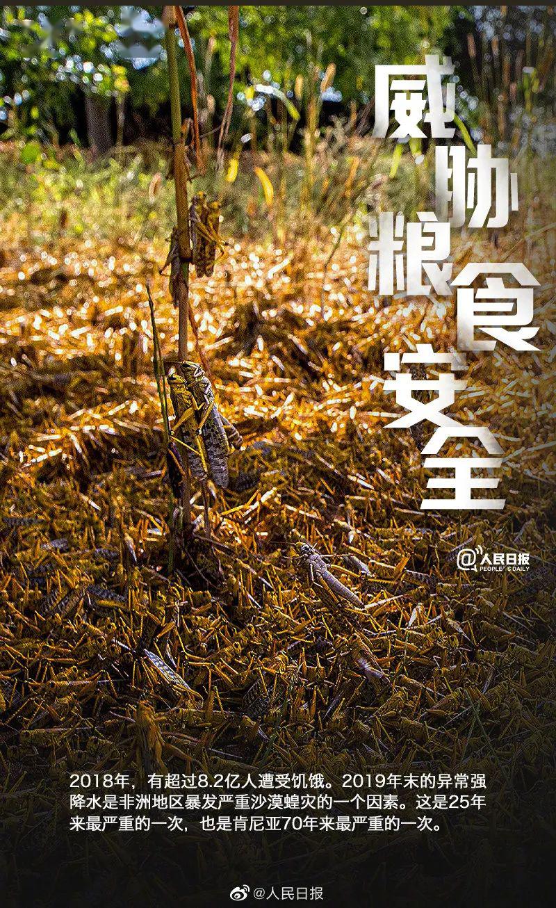 敬畏生命,关爱自然丨世界地球日