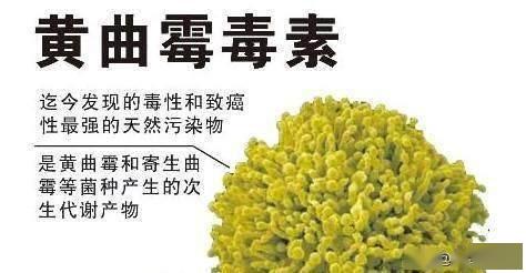 怎么种花生发芽快 f0b3b114e16c4b3f884bb815a244b367.jpeg