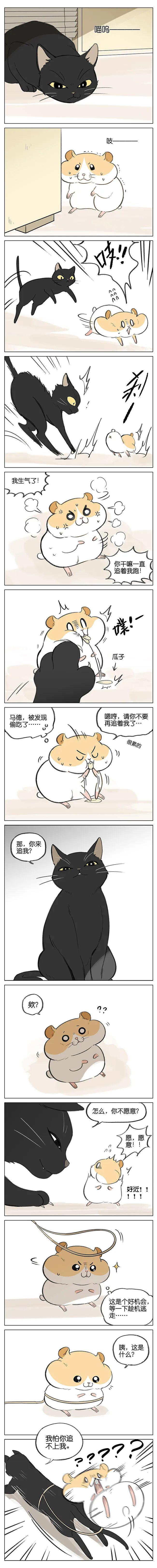 霸道黑猫x萌蠢小仓鼠太甜了叭萌宠版霸道总裁和他的小娇妻又宠溺又