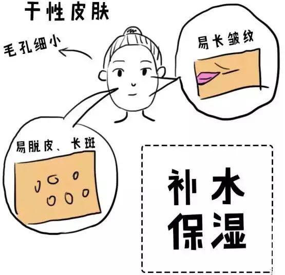 a 干性皮肤是指因