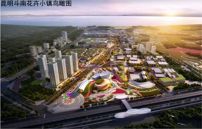 斗南花卉小镇将全面启动建设争取2022年实现交易量世界第一