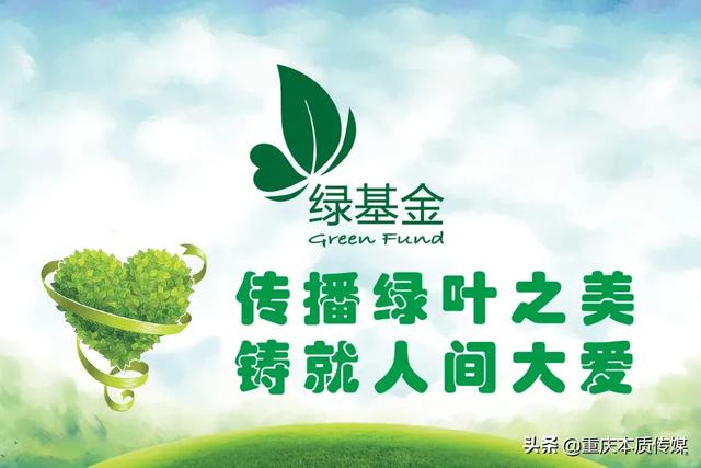 绿叶集团是做什么产品的 02897c0f5b764428b5e1df45d1848579.jpeg