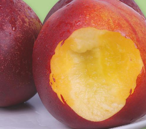 桃子怎么捏软 0541d3f431d54498bbc86bf7d8b5c52d.jpeg