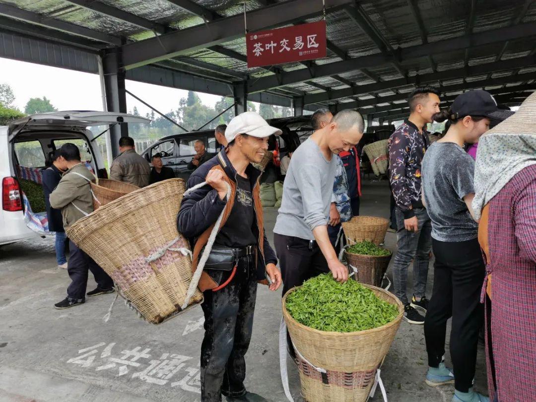 茶都名山茶农卖好茶有好价万古茶市交易忙