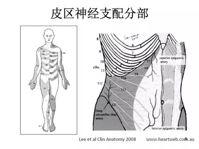 腹横肌平面阻滞