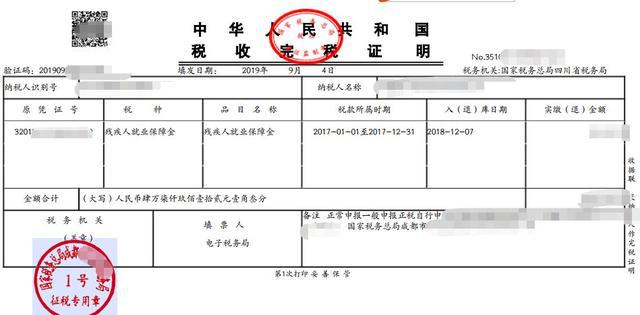 残疾人口比例_中国人口结构比例图(3)