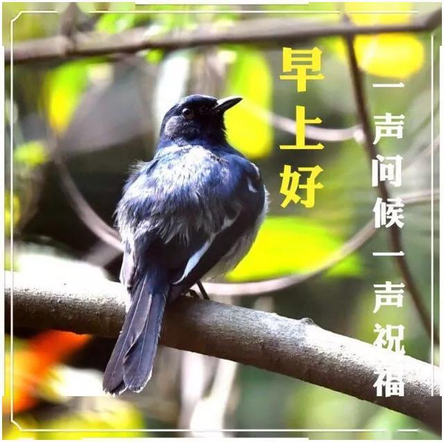 四月初一,早上好的祝福语图片表情大全