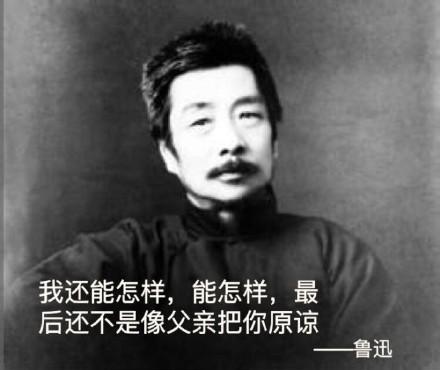 鲁迅名言搞笑表情包:我没说过这话,不过确实在理