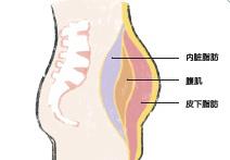 肚子脂肪堆积该怎么锻炼 24e220b7ef85483da23813616dcdf06a.jpeg