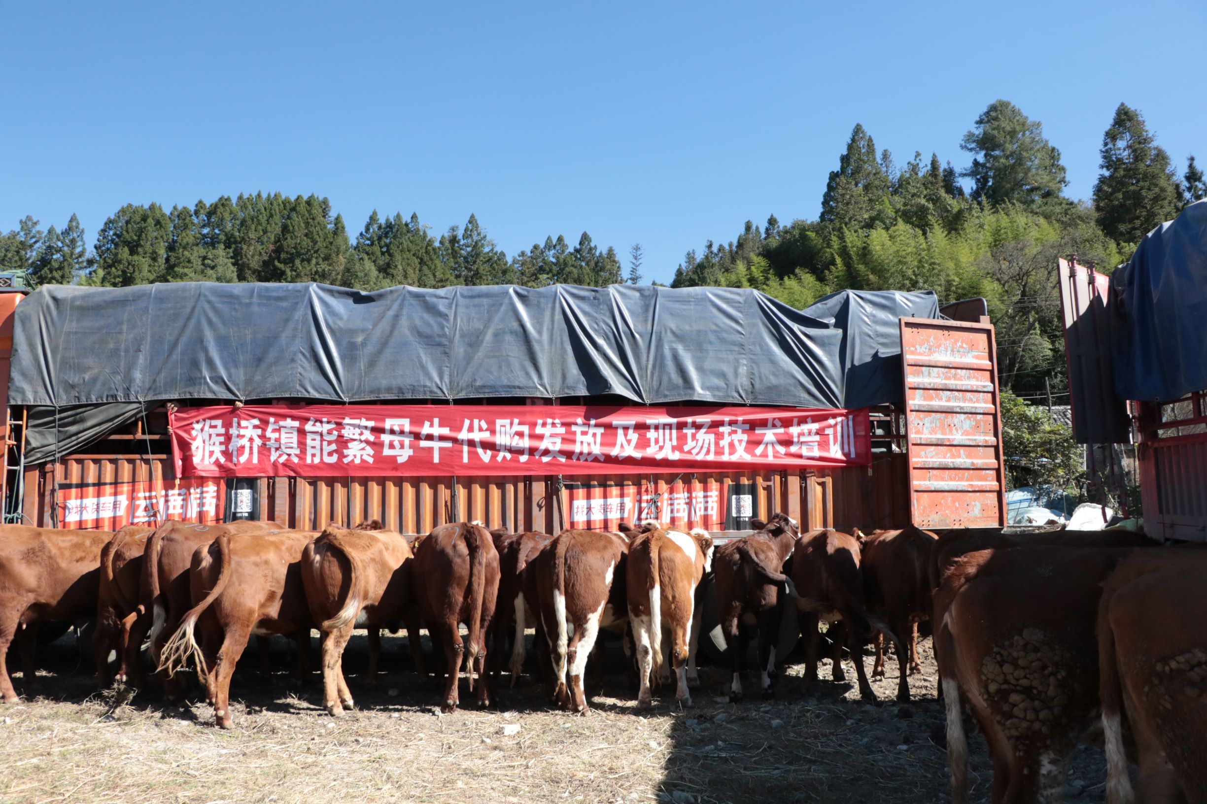 腾冲市猴桥镇gdp有多少_云南 持续几天的降雨,使得腾冲219户房屋受损 1人失踪