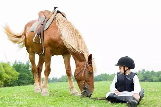 济西湿地国际马术交流中心(图2) 济西湿地国际马术交流中心(图2)