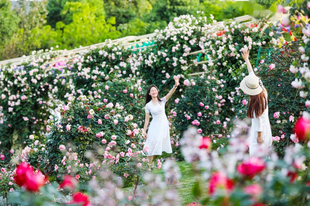 花石桥村人口_丰县梁寨石桥村(2)