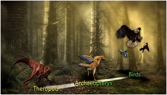 32071a465c054e63ac00a3bcbe4352d2.png