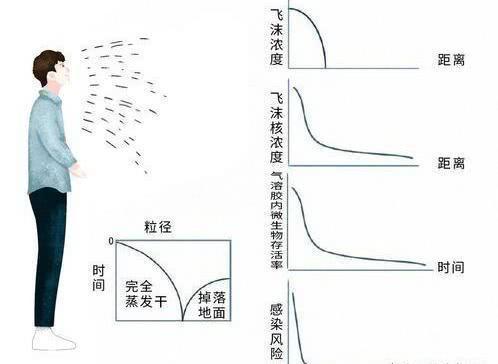 贝加莫gdp(3)