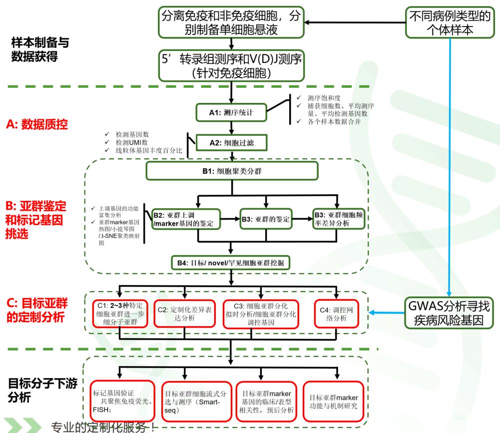 文章研究思路