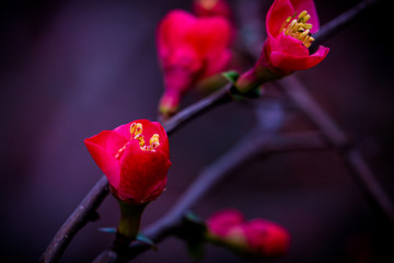45c266f58dbb4dcd80650a0e72b3e3a3.jpeg